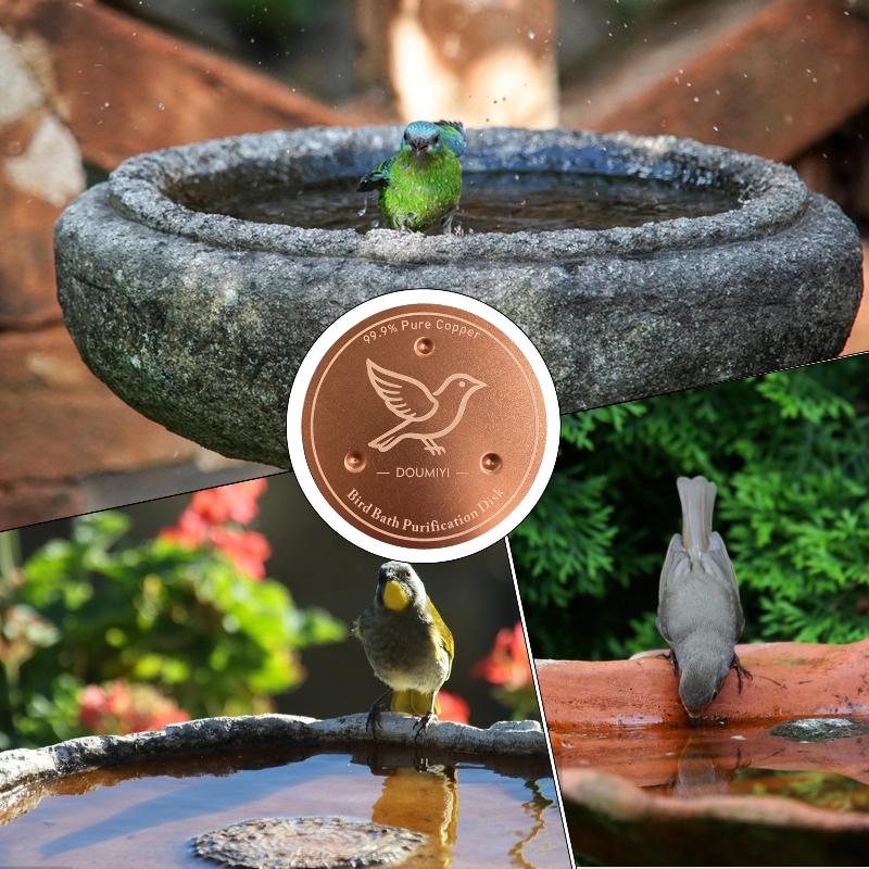 Miedziany dysk do karmnika dla – Bath recenzja i cena