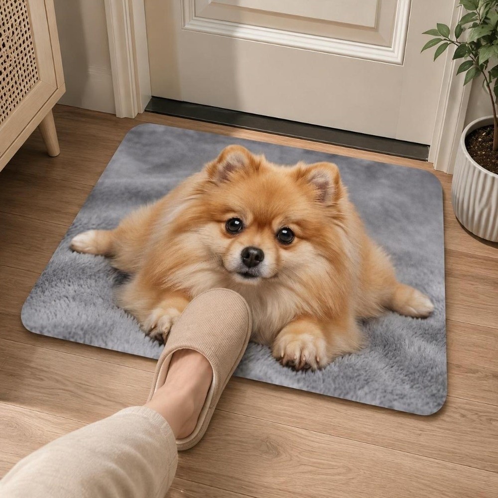 Wytrzymała mata podłogowa z di – Quick Dry Diatomite Bath Mat recenzja i cena